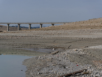 Visible banks, dry soil, and uncultivated vegetation replace the water at Lake Monte Cotugno, a reservoir in Basilicata, which in the summer...