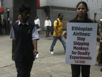 Indian members of 'People for the Ethical Treatment of Animals' (PETA) protest with a giant statue of a wounded and tormented 'monkey' and h...