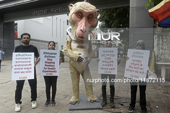 Indian members of 'People for the Ethical Treatment of Animals' (PETA) protest with a giant statue of a wounded and tormented 'monkey' and h...