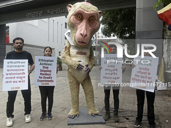 Indian members of 'People for the Ethical Treatment of Animals' (PETA) protest with a giant statue of a wounded and tormented 'monkey' and h...