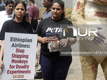 Indian members of 'People for the Ethical Treatment of Animals' (PETA) protest with a giant statue of a wounded and tormented 'monkey' and h...