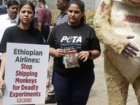 Indian members of 'People for the Ethical Treatment of Animals' (PETA) protest with a giant statue of a wounded and tormented 'monkey' and h...