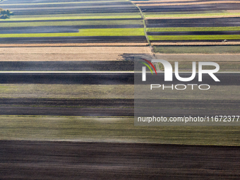 An aerial view of an agricultural field seen as the planting season of Galicia garlic continues on October 16, 2024. Galicia garlic is a loc...