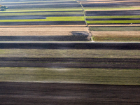 An aerial view of an agricultural field seen as the planting season of Galicia garlic continues on October 16, 2024. Galicia garlic is a loc...