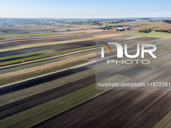 An aerial view of an agricultural field seen as the planting season of Galicia garlic continues on October 16, 2024. Galicia garlic is a loc...