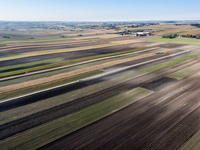 An aerial view of an agricultural field seen as the planting season of Galicia garlic continues on October 16, 2024. Galicia garlic is a loc...