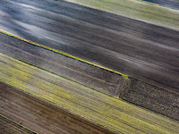 An aerial view of an agricultural field seen as the planting season of Galicia garlic continues on October 16, 2024. Galicia garlic is a loc...