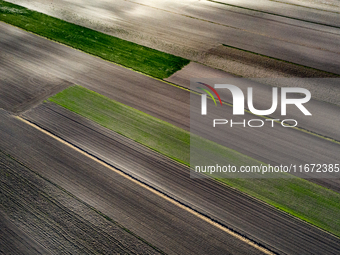 An aerial view of an agricultural field seen as the planting season of Galicia garlic continues on October 16, 2024. Galicia garlic is a loc...