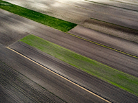 An aerial view of an agricultural field seen as the planting season of Galicia garlic continues on October 16, 2024. Galicia garlic is a loc...