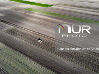 A man plows soil in a tractor on an agricultural field as the planting season of Galicia garlic continues on October 16, 2024. Galicia garli...