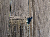 A man plows soil in a tractor on an agricultural field as the planting season of Galicia garlic continues on October 16, 2024. Galicia garli...