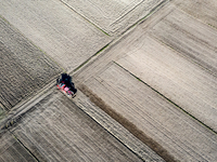 A man plows soil in a tractor on an agricultural field as the planting season of Galicia garlic continues on October 16, 2024. Galicia garli...