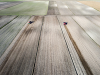 A man plows soil in a tractor on an agricultural field as the planting season of Galicia garlic continues on October 16, 2024. Galicia garli...