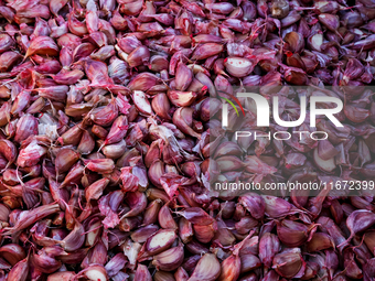 Cloves of Galicia garlic are seen in a tractor on an agricultural field as the planting season continues on October 16, 2024. Galicia garlic...