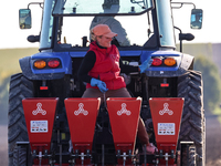 A man and woman plant Galicia garlic in a tractor on an agricultural field as the planting season continues on October 16, 2024. Galicia gar...