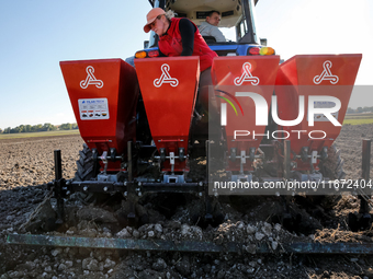 A man and woman plant Galicia garlic in a tractor on an agricultural field as the planting season continues on October 16, 2024. Galicia gar...