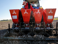 A man and woman plant Galicia garlic in a tractor on an agricultural field as the planting season continues on October 16, 2024. Galicia gar...