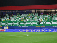 Hammarby IF supporters attend the match between FC Barcelona Women and Hammarby IF Women, corresponding to week 2 of group D of the UEFA Wom...