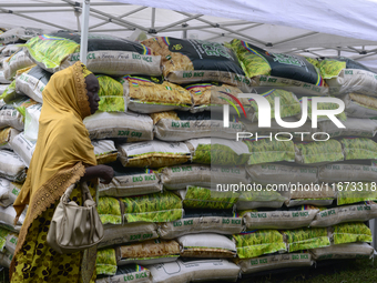 A woman walks past a stand loaded with Eko Rice as the Lagos State Ministry of Agriculture and Food Systems concludes activities for the 202...