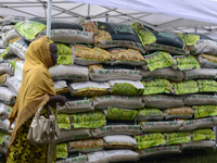 A woman walks past a stand loaded with Eko Rice as the Lagos State Ministry of Agriculture and Food Systems concludes activities for the 202...