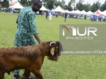 A man walks his group's goat as the Lagos State Ministry of Agriculture and Food Systems concludes activities for the 2024 World Food Day, t...