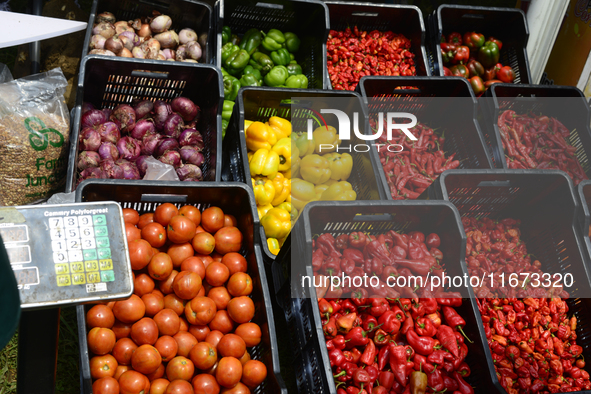 Farmers display their produce as the Lagos State Ministry of Agriculture and Food Systems concludes activities marking the 2024 World Food D...