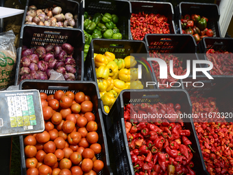 Farmers display their produce as the Lagos State Ministry of Agriculture and Food Systems concludes activities marking the 2024 World Food D...