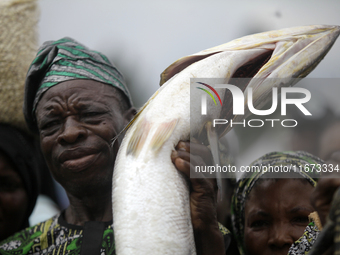 A farmer displays his group produce as the Lagos State Ministry of Agriculture and Food Systems concludes activities for the 2024 World Food...