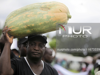 Farmers display their produce as the Lagos State Ministry of Agriculture and Food Systems concludes activities marking the 2024 World Food D...