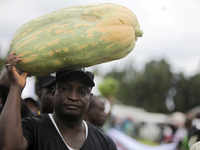 Farmers display their produce as the Lagos State Ministry of Agriculture and Food Systems concludes activities marking the 2024 World Food D...