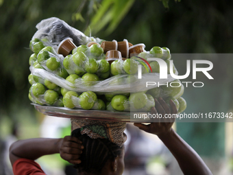 A woman sells garden eggs as the Lagos State Ministry of Agriculture and Food Systems concludes activities for the 2024 World Food Day, call...