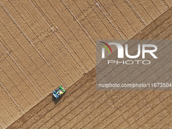 A farmer drives a seeder to sow winter wheat in a test field at the Yantai Academy of Agricultural Sciences in Yantai, China, on October 17,...