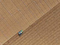 A farmer drives a seeder to sow winter wheat in a test field at the Yantai Academy of Agricultural Sciences in Yantai, China, on October 17,...