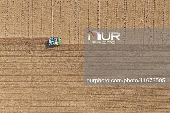 A farmer drives a seeder to sow winter wheat in a test field at the Yantai Academy of Agricultural Sciences in Yantai, China, on October 17,...