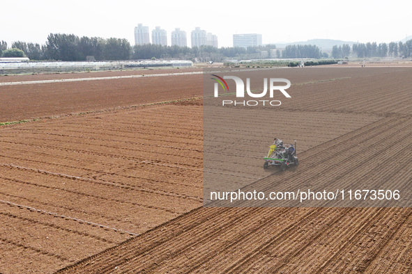 A farmer drives a seeder to sow winter wheat in a test field at the Yantai Academy of Agricultural Sciences in Yantai, China, on October 17,...