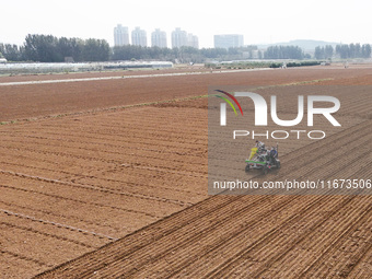 A farmer drives a seeder to sow winter wheat in a test field at the Yantai Academy of Agricultural Sciences in Yantai, China, on October 17,...