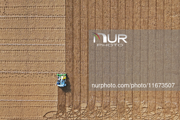 A farmer drives a seeder to sow winter wheat in a test field at the Yantai Academy of Agricultural Sciences in Yantai, China, on October 17,...