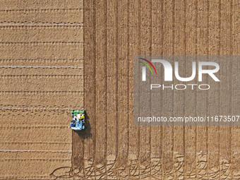 A farmer drives a seeder to sow winter wheat in a test field at the Yantai Academy of Agricultural Sciences in Yantai, China, on October 17,...