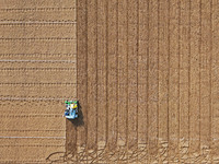 A farmer drives a seeder to sow winter wheat in a test field at the Yantai Academy of Agricultural Sciences in Yantai, China, on October 17,...