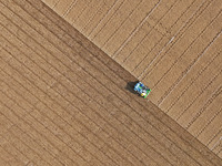 A farmer drives a seeder to sow winter wheat in a test field at the Yantai Academy of Agricultural Sciences in Yantai, China, on October 17,...