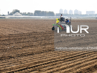 A farmer drives a seeder to sow winter wheat in a test field at the Yantai Academy of Agricultural Sciences in Yantai, China, on October 17,...