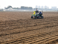 A farmer drives a seeder to sow winter wheat in a test field at the Yantai Academy of Agricultural Sciences in Yantai, China, on October 17,...