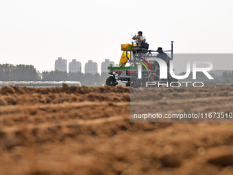 A farmer drives a seeder to sow winter wheat in a test field at the Yantai Academy of Agricultural Sciences in Yantai, China, on October 17,...