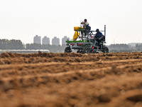 A farmer drives a seeder to sow winter wheat in a test field at the Yantai Academy of Agricultural Sciences in Yantai, China, on October 17,...