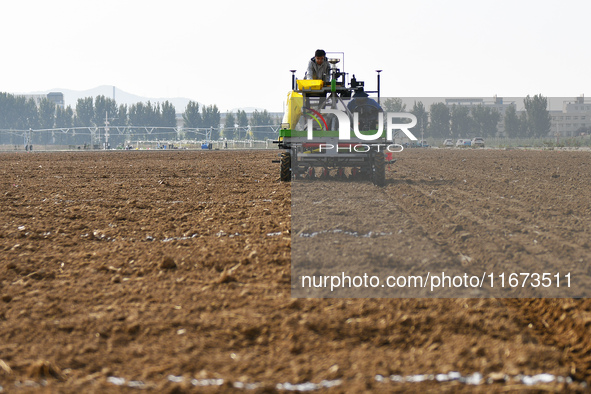 A farmer drives a seeder to sow winter wheat in a test field at the Yantai Academy of Agricultural Sciences in Yantai, China, on October 17,...