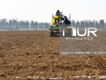 A farmer drives a seeder to sow winter wheat in a test field at the Yantai Academy of Agricultural Sciences in Yantai, China, on October 17,...