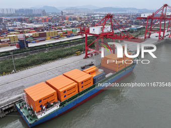 Cargo ships dock at the container terminal of Longtan Port Area of Nanjing Port in Nanjing, Jiangsu province, China, on October 17, 2024. (