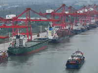 Cargo ships dock at the container terminal of Longtan Port Area of Nanjing Port in Nanjing, Jiangsu province, China, on October 17, 2024. (