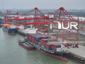 Cargo ships dock at the container terminal of Longtan Port Area of Nanjing Port in Nanjing, Jiangsu province, China, on October 17, 2024. (