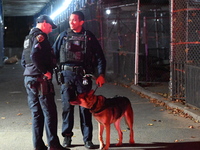 Several people are in custody after a 26-year-old man is killed in a shooting inside a NYCHA apartment in the Melrose section of Bronx, New...